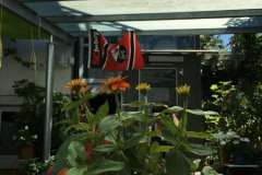 34-IMG_1691